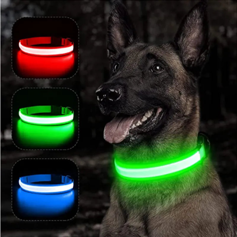 GlowPets™  LED Glowing Dog Collar: Flashing & Rechargeable for Night Safety (Small Dogs)